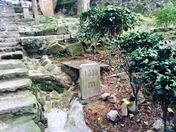 上海法律顧問:強拆時因古董楠木床還未搬出發(fā)生沖突，村民稱多人將其打傷