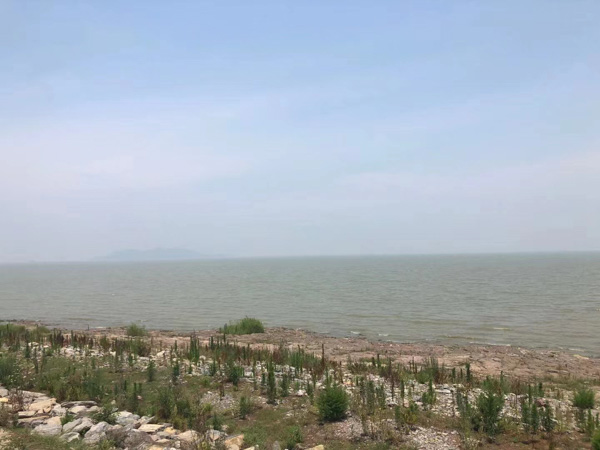 買錯戒指已經過了半年了是否能撤銷買賣合同？上海合同律師事務所來回答