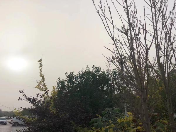 上海有名的律師來講講工程欠款合同糾紛有哪些較好的處理方法