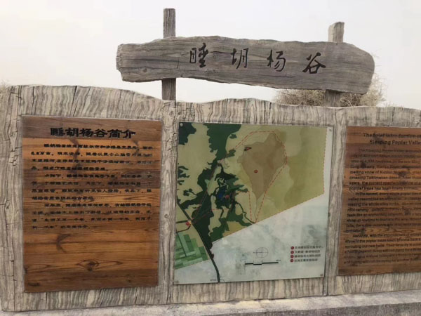 上海繼承律師講解贍養父母與遺囑之間的沖突