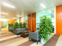 <b>上海股權糾紛律師視角下受讓股權未變更登記時企業投資權益爭訴問題探討</b>